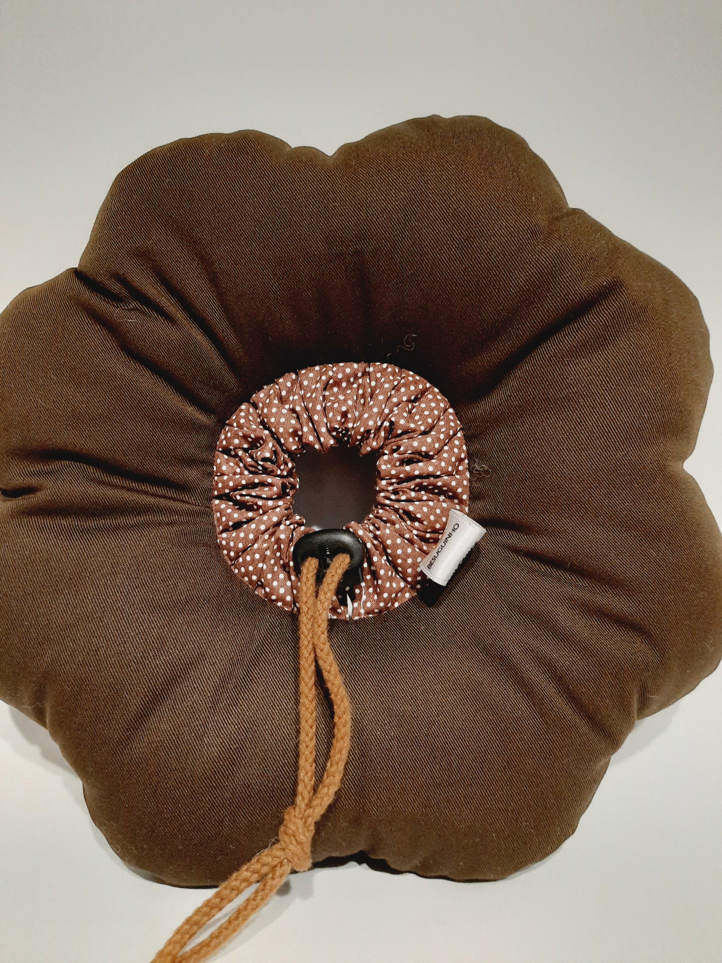 Colar isabelino para gatos | Cat recovery collar